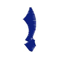 Illustration Wedding