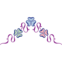 Illustration Wedding