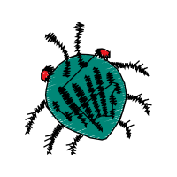 Illustration Wedding