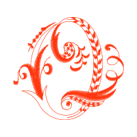 Illustration Wedding