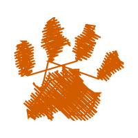 Illustration Wedding