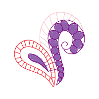 Illustration Wedding