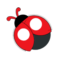 Illustration Wedding