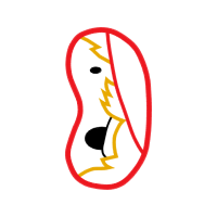 Illustration Wedding