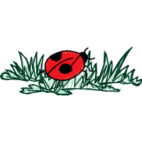 Illustration Wedding