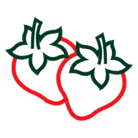 Illustration Wedding