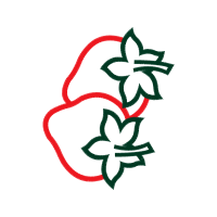 Illustration Wedding