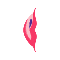 Illustration Wedding