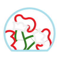 Illustration Wedding