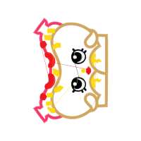 Illustration Wedding