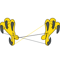 Illustration Wedding