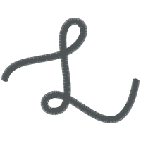 Illustration Wedding