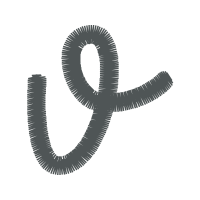 Illustration Wedding