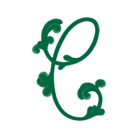 Illustration Wedding