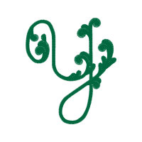 Illustration Wedding