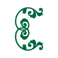 Illustration Wedding