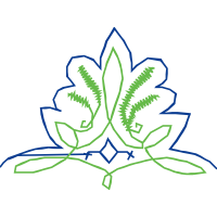 Illustration Wedding