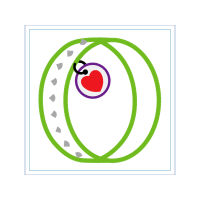 Illustration Wedding