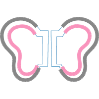 Illustration Wedding