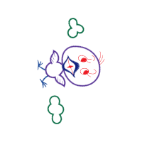 Illustration Wedding Illustration Wedding