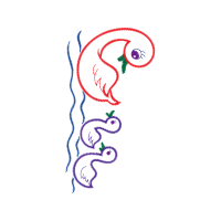 Illustration Wedding