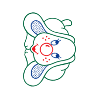 Illustration Wedding