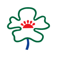 Illustration Wedding