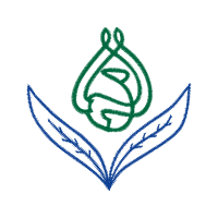 Illustration Wedding