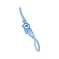 Illustration Wedding