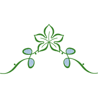 Illustration Wedding