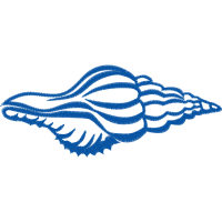 Illustration Wedding