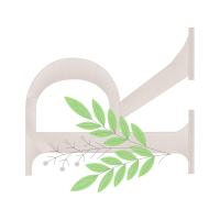 Illustration Wedding