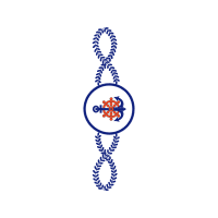 Illustration Wedding