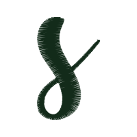 Illustration Wedding