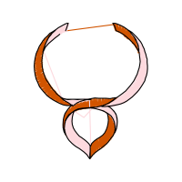 Illustration Wedding