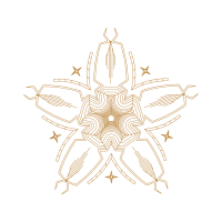 Illustration Wedding Illustration Wedding