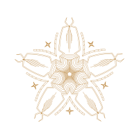 Illustration Wedding Illustration Wedding