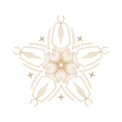 Illustration Wedding Illustration Wedding