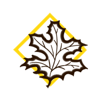 Illustration Wedding Illustration Wedding