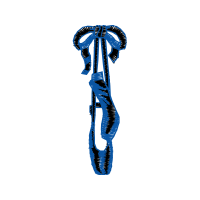 Illustration Wedding