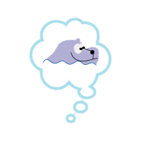 Illustration Wedding Illustration Wedding