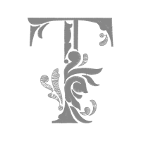 Illustration Wedding