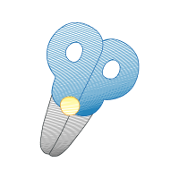 Illustration Wedding