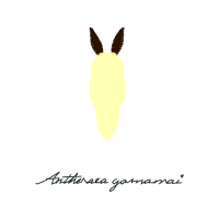 Illustration Wedding