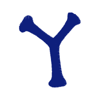 Illustration Wedding