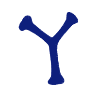 Illustration Wedding