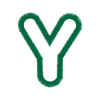 Illustration Wedding