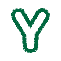 Illustration Wedding