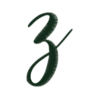 Illustration Wedding