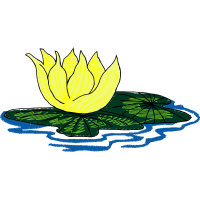 Illustration Wedding